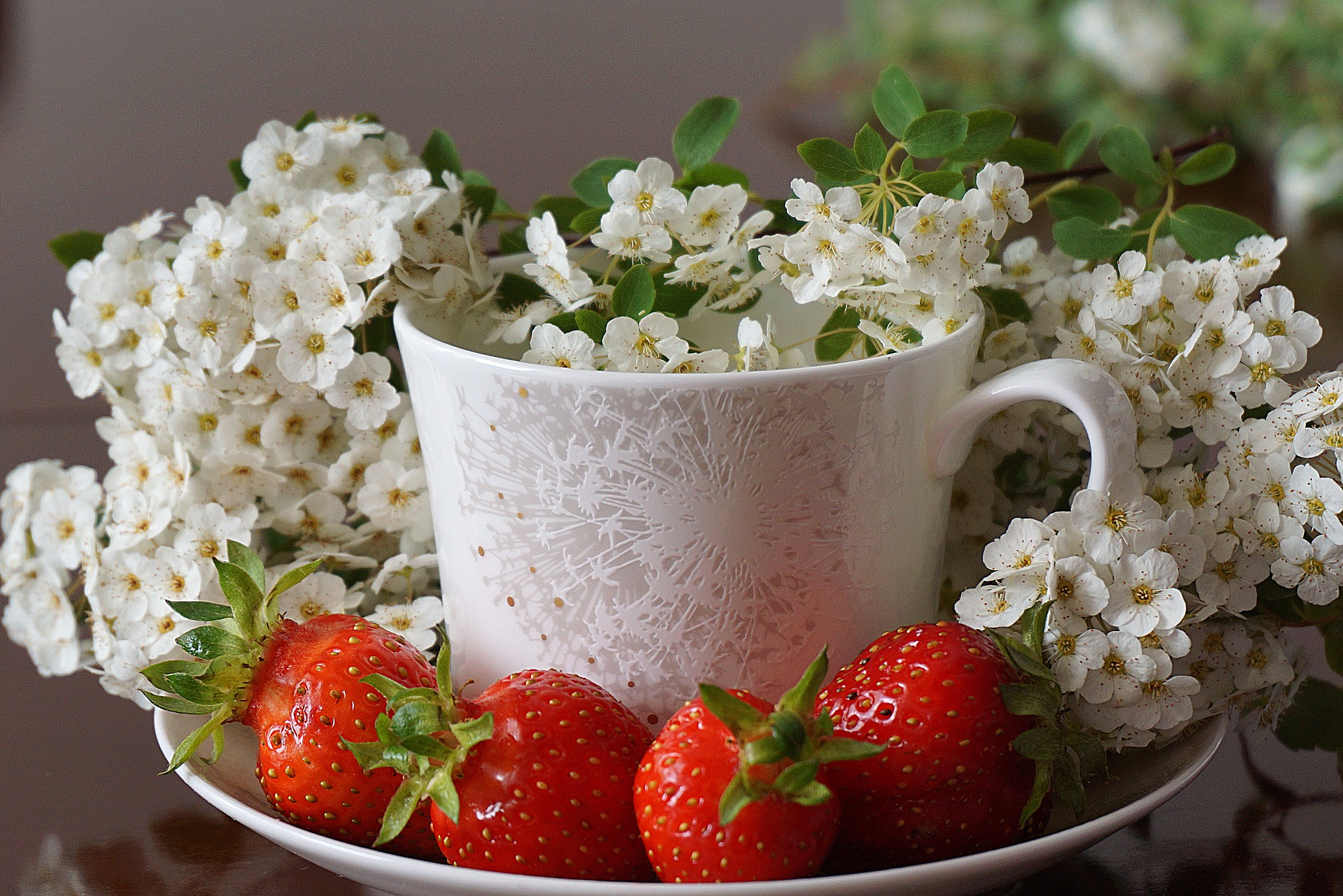 mindful eating scen italia scuola consulenti educatori nutrizionali
