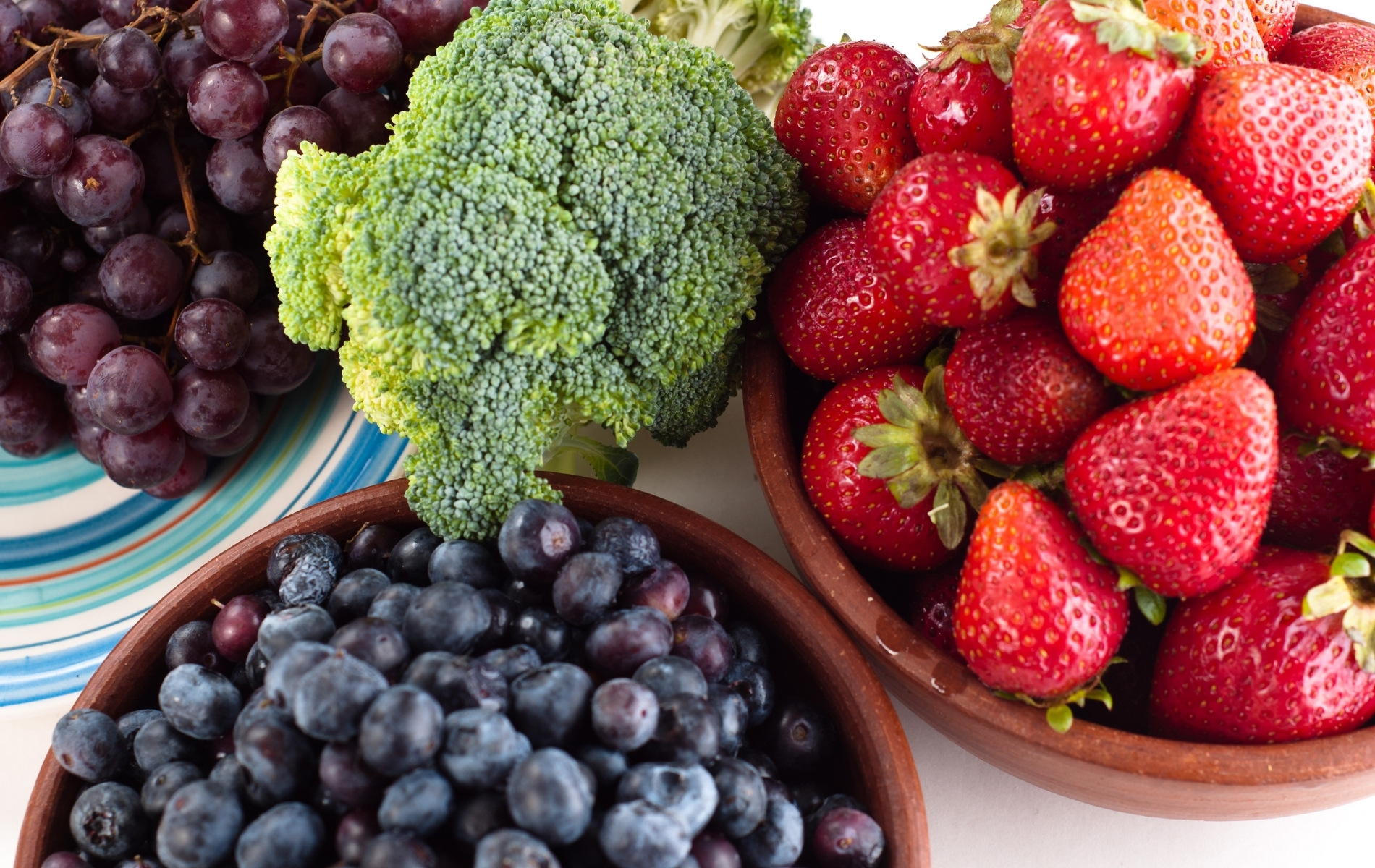 nutrizionale scen italia scuola consulenti educatori nutrizionali