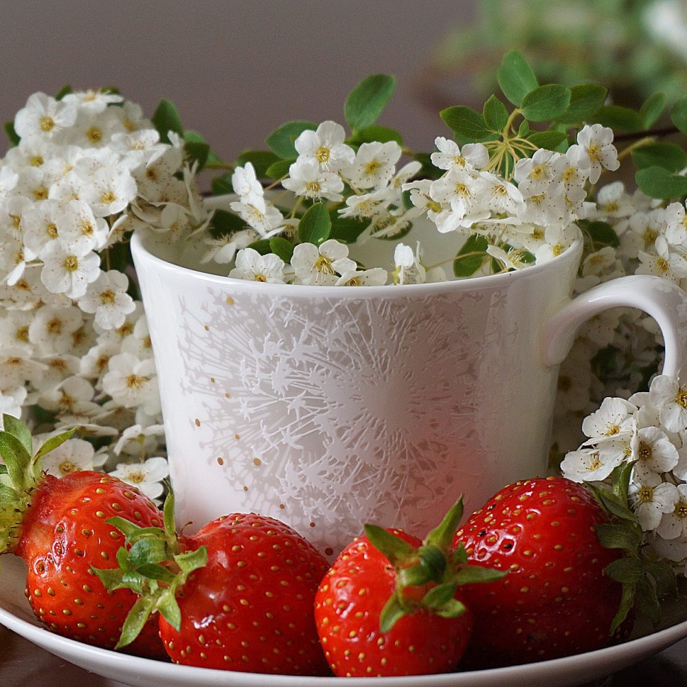 mindful eating scen italia scuola consulenti educatori nutrizionali